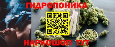 Альфа ПВП Вышний Волочёк