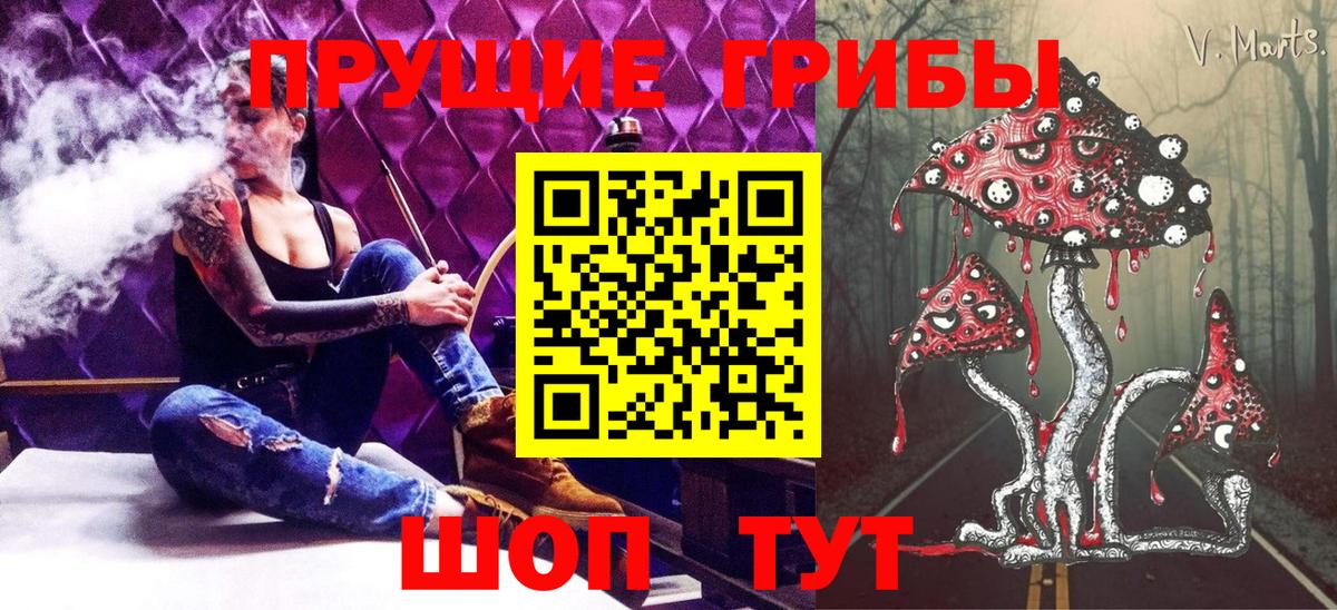 Псилоцибиновые грибы Cubensis  Вход с VPN  Псилоцибиновые грибы ЛСД  Нижний Новгород 